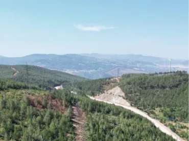 Kullar Peyzaj